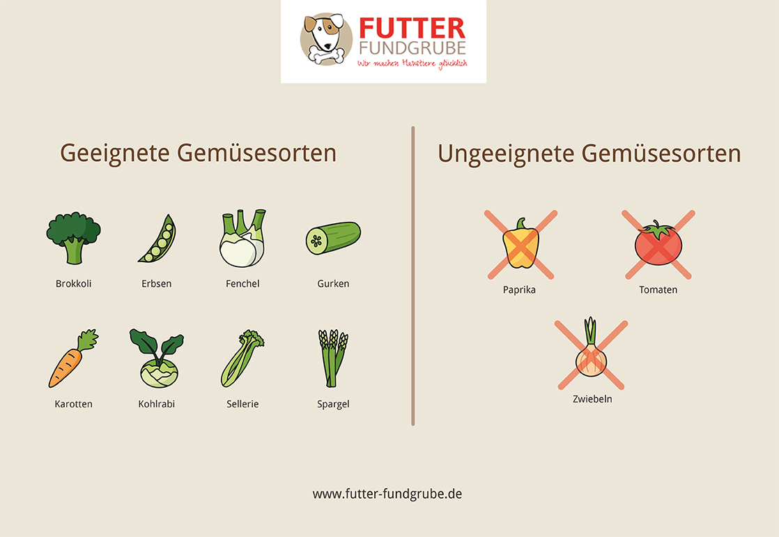 Infografik - Für Hunde geeignete und ungeeignete Gemüsesorten