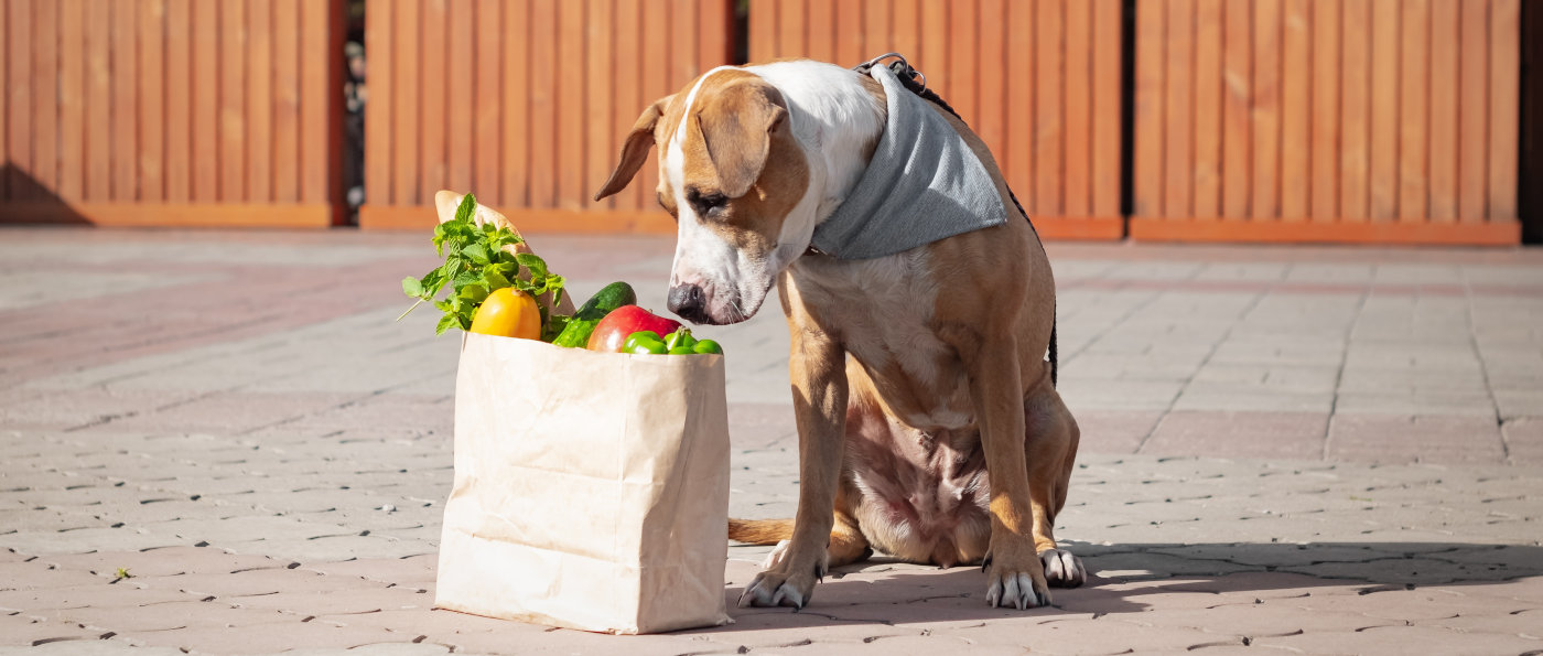 Einkaufstüte mit Gemüse für Hunde